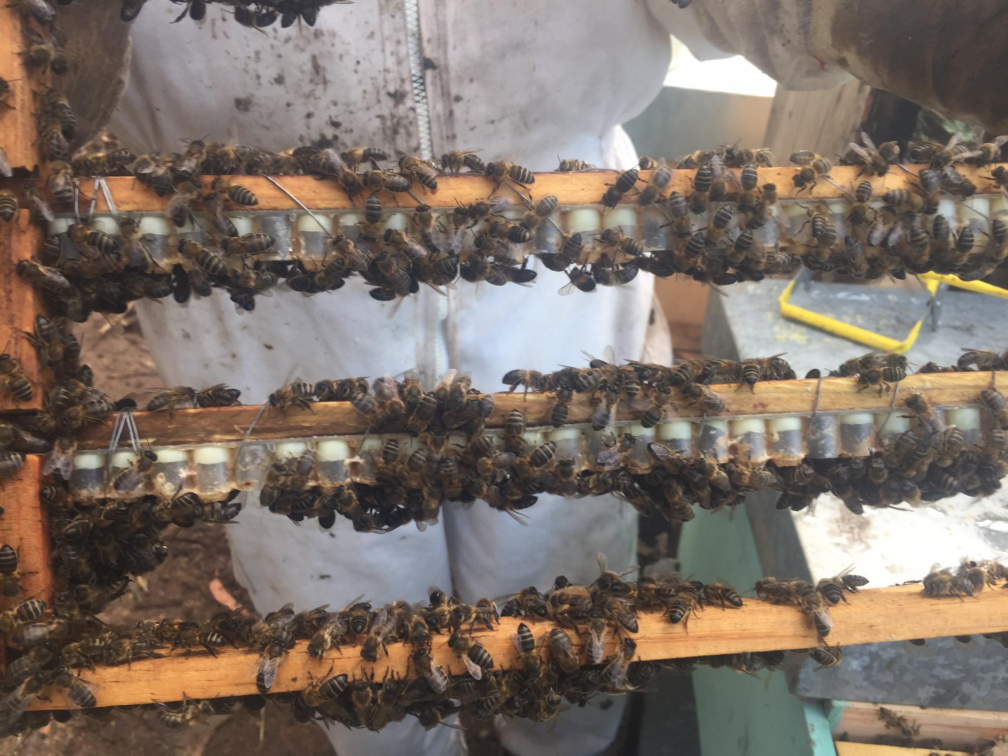 93691572 688503445229464 7184837462747774976 n