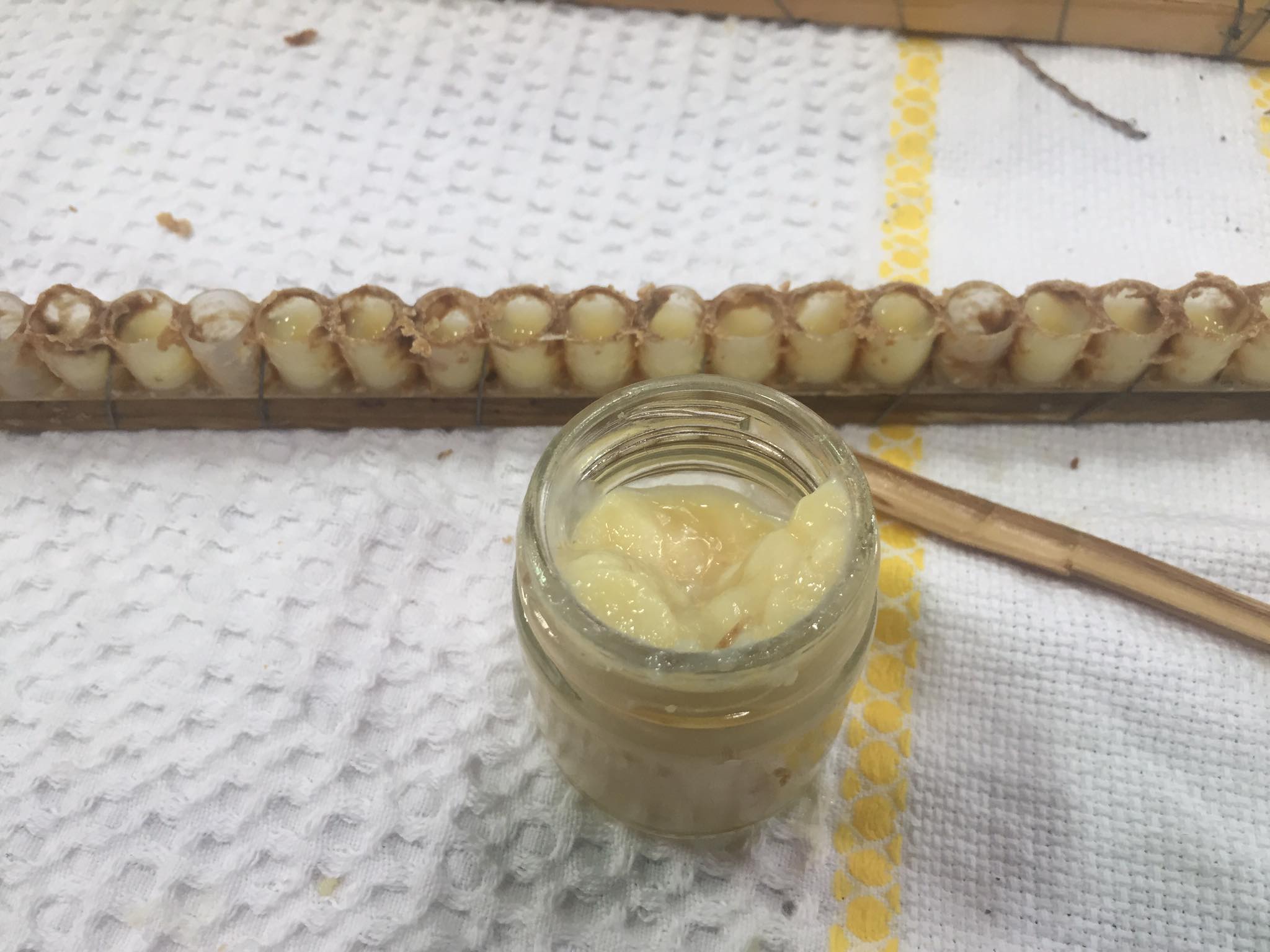 93857565 1596629140475885 4192297021912121344 n